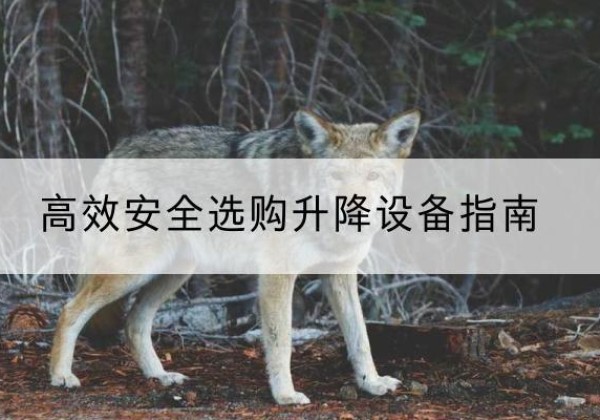永昌升降货梯厂家推荐-*安全选购升降设备指南