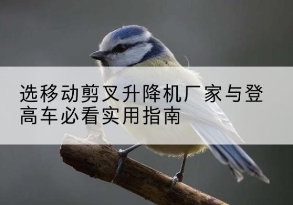 永昌电动升降机厂家-选移动剪叉升降机厂家与登高车必看实用指南