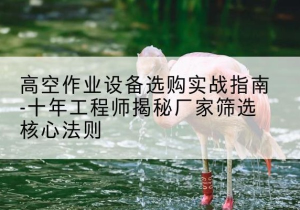 永昌剪叉式升降机厂家-高空作业设备选购实战指南-十年工程师揭秘厂家筛选核心法则